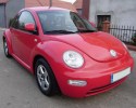 NEW_BEETLE_4cda7346436ac.jpg