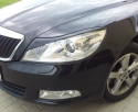 Skoda_Octavia_2__4fb33f83dcd99.jpg